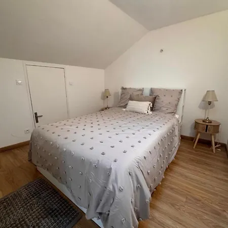 Apartment T3 Cosy Au Coeur Des Minimes 500m Du Metro *